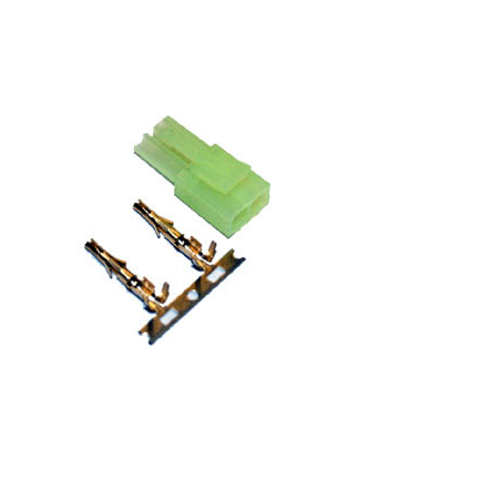 mini_tamiya_maschio.jpg