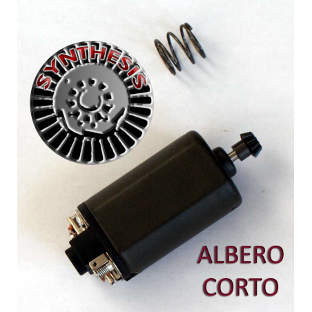MOTORE_SYNT_ALBERO_CORTO.jpg