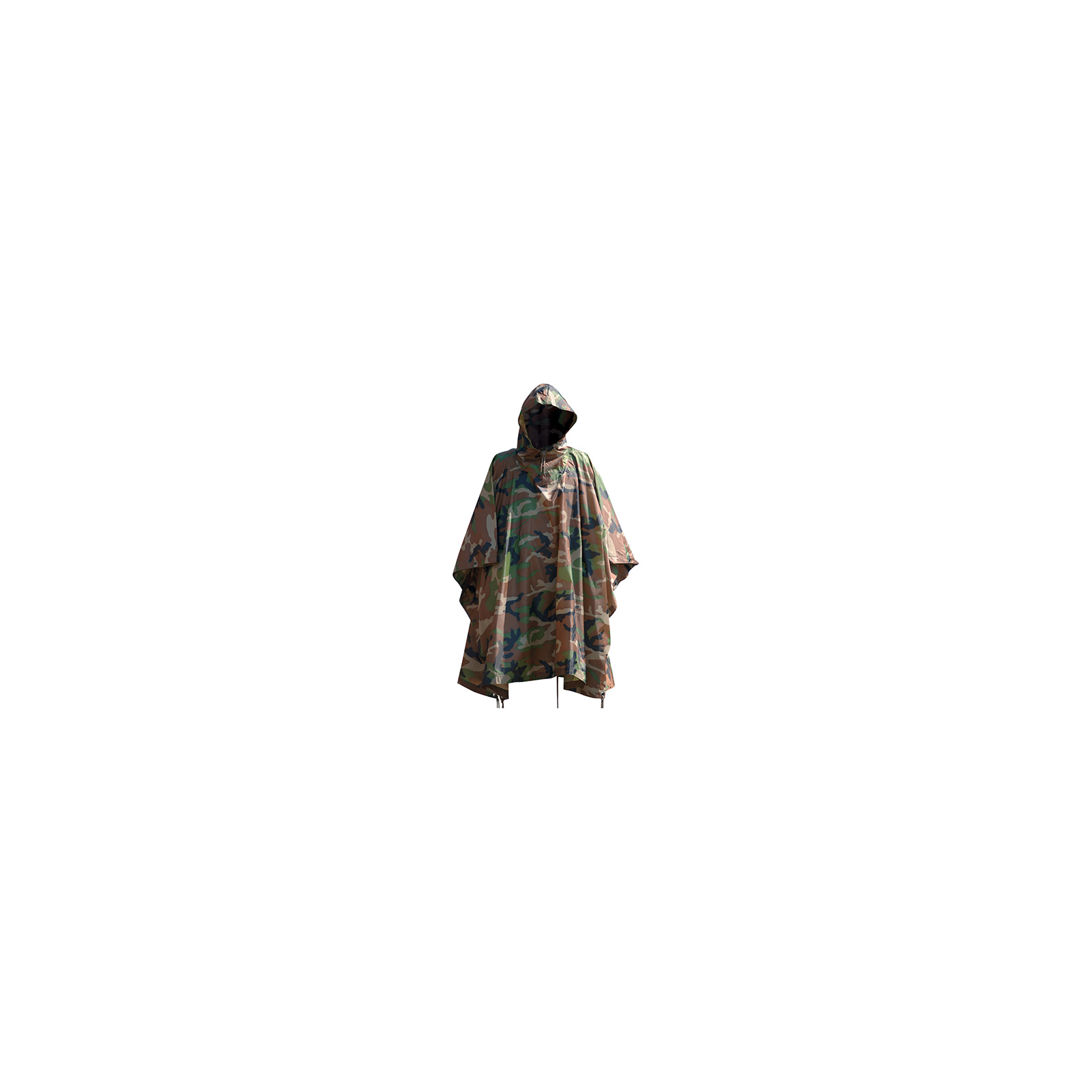 10630020.jpg