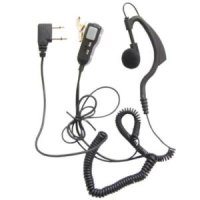 MA_21_M_AURICOLARE.JPG